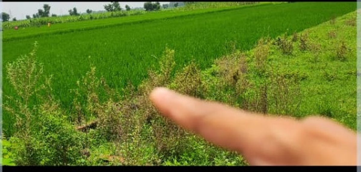 AJAY